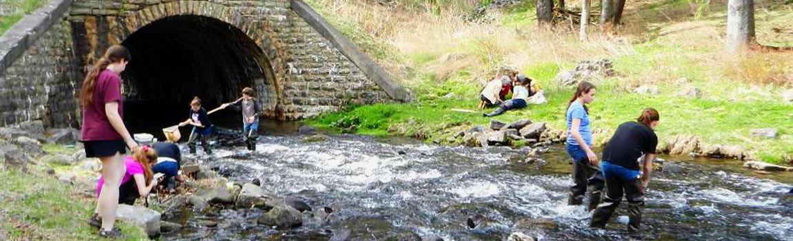 Students study a stream during a Watershed Education investigation at Promised Land State Park, Pennsylvania State Parks.