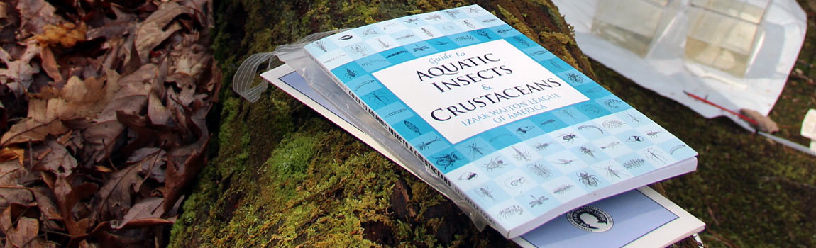 A field guide is on a log.